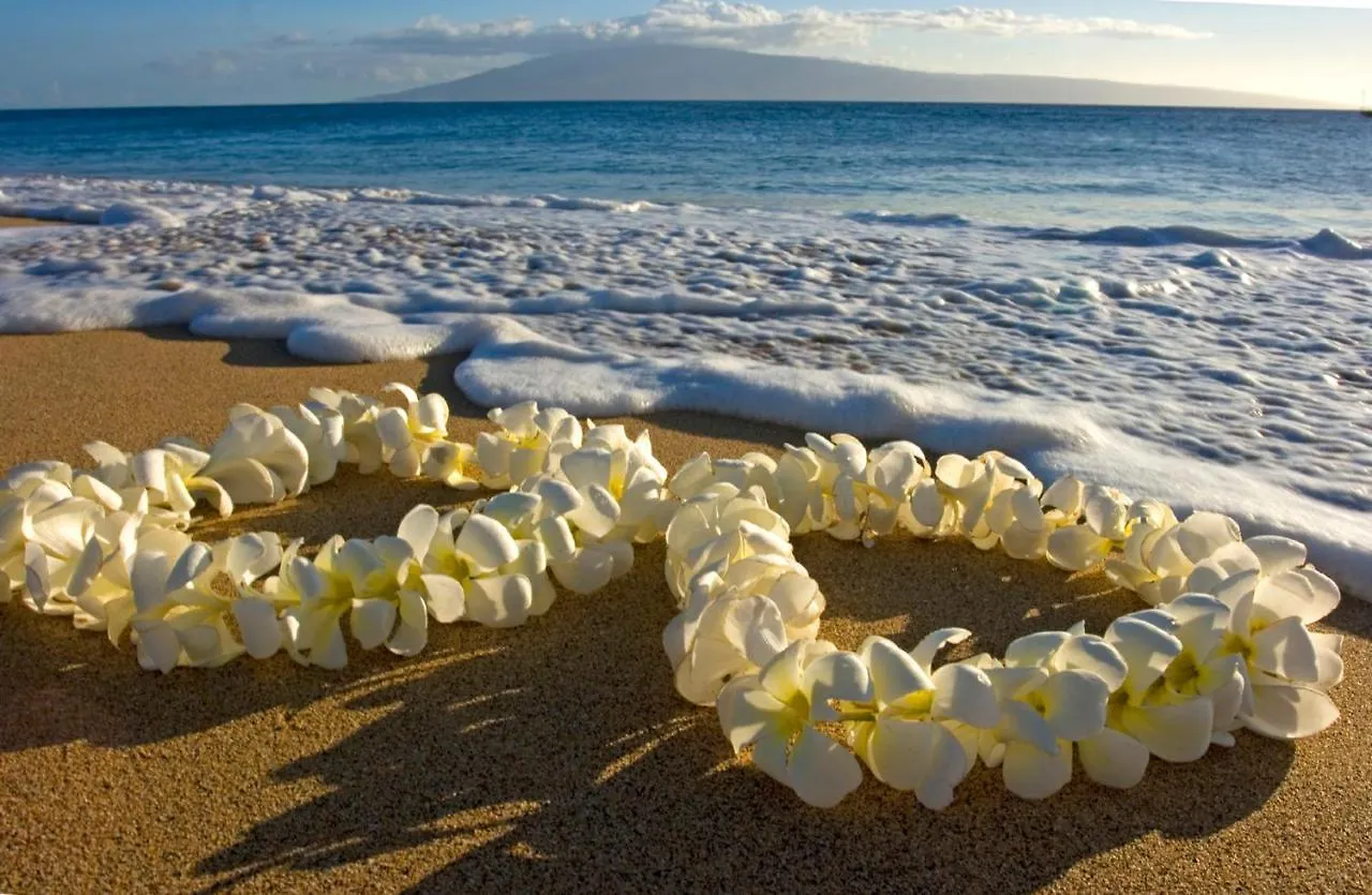 Hawaii Dream Escape, Ocean Views & Free Parking Apartamento Honolulu